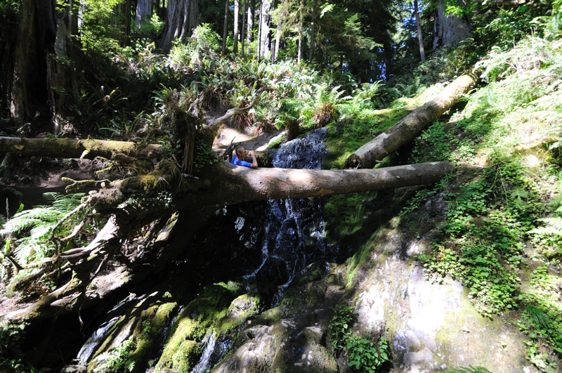 Josh contemplating life on a log, by a waterfall.
